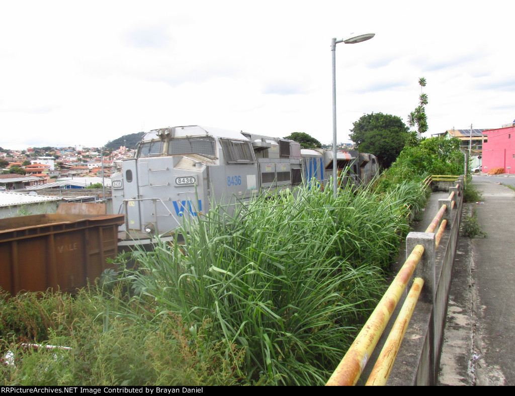 VLI 8436